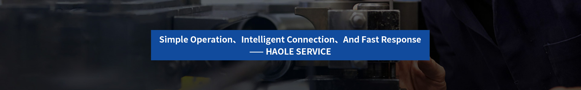 Haole service